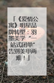 《爱情公寓》明星品牌转型：羽墨美学“一站式团单”告别美甲两难！