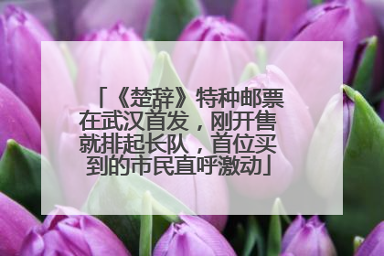 《楚辞》特种邮票在武汉首发，刚开售就排起长队，首位买到的市民直呼激动
