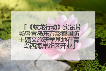 《蛟龙行动》实景片场暨青岛东方影都国防主题文旅研学基地在青岛西海岸新区开业