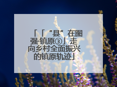 「“县”在图强·镇原③」走向乡村全面振兴的镇原轨迹