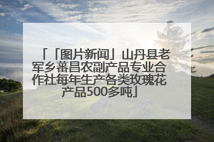 「图片新闻」山丹县老军乡蕃昌农副产品专业合作社每年生产各类玫瑰花产品500多吨