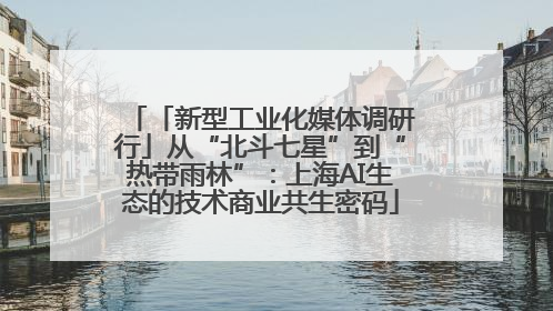 「新型工业化媒体调研行」从“北斗七星”到“热带雨林”：上海AI生态的技术商业共生密码