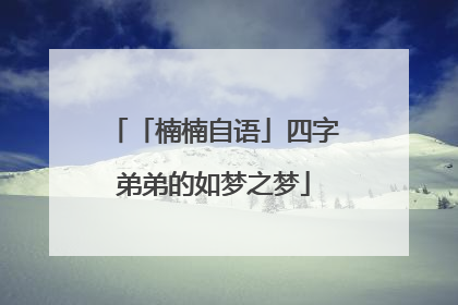 「楠楠自语」四字弟弟的如梦之梦