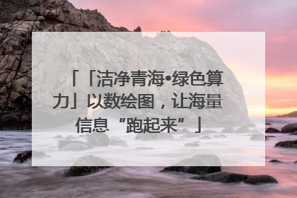 「洁净青海•绿色算力」以数绘图，让海量信息“跑起来”