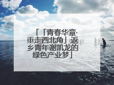 「青春华章·重走西北角」返乡青年谢凯龙的绿色产业梦