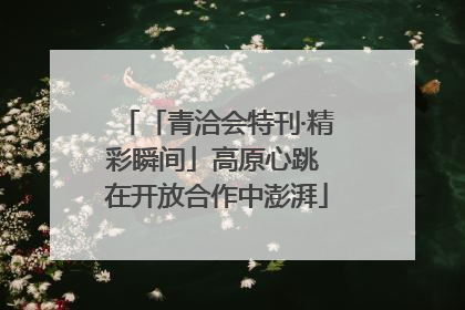「青洽会特刊·精彩瞬间」高原心跳 在开放合作中澎湃