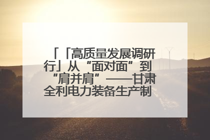 「高质量发展调研行」从“面对面”到“肩并肩”——甘肃全利电力装备生产制造项目一线见闻