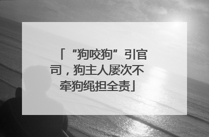 “狗咬狗”引官司，狗主人屡次不牵狗绳担全责