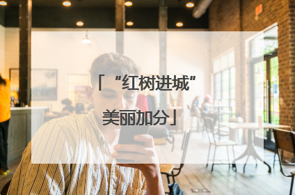 “红树进城” 美丽加分