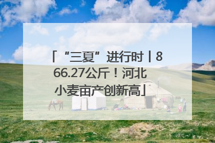 “三夏”进行时丨866.27公斤！河北小麦亩产创新高