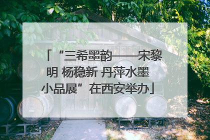 “三希墨韵——宋黎明 杨稳新 丹萍水墨小品展”在西安举办