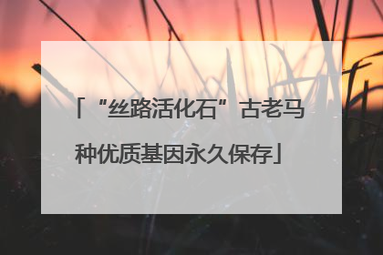 “丝路活化石”古老马种优质基因永久保存