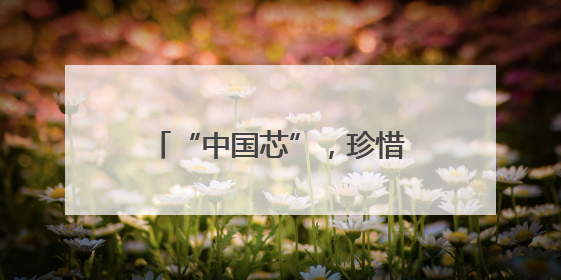 “中国芯”，珍惜向上攀登的每一步