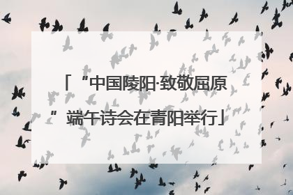 “中国陵阳·致敬屈原”端午诗会在青阳举行