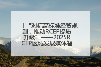 “对标高标准经贸规则，推动RCEP提质升级”——2025RCEP区域发展媒体智库论坛举行专题对话