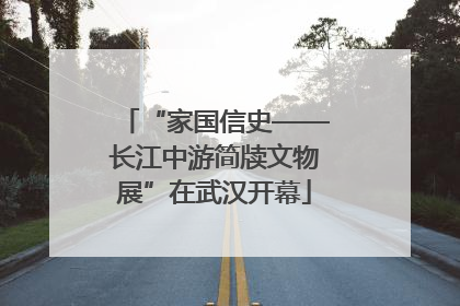 “家国信史——长江中游简牍文物展”在武汉开幕