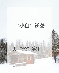 “小白”逆袭大“盈”家