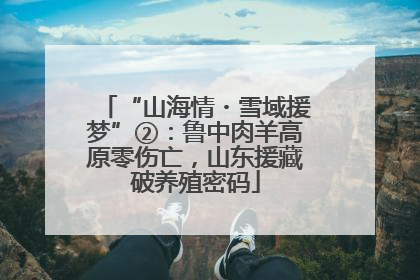 “山海情・雪域援梦”②：鲁中肉羊高原零伤亡，山东援藏破养殖密码