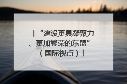 “建设更具凝聚力、更加繁荣的东盟”（国际视点）