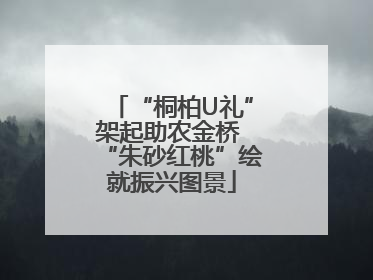 “桐柏U礼”架起助农金桥 “朱砂红桃”绘就振兴图景