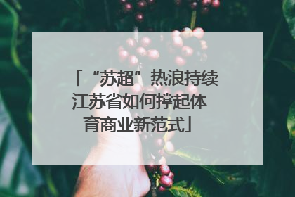 “苏超”热浪持续 江苏省如何撑起体育商业新范式