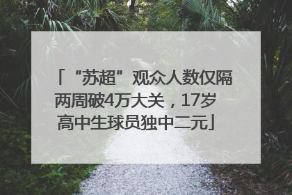 “苏超”观众人数仅隔两周破4万大关，17岁高中生球员独中二元