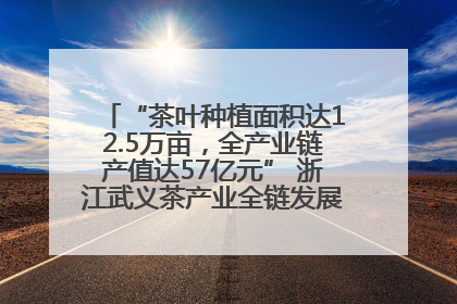“茶叶种植面积达12.5万亩，全产业链产值达57亿元” 浙江武义茶产业全链发展“加速度”