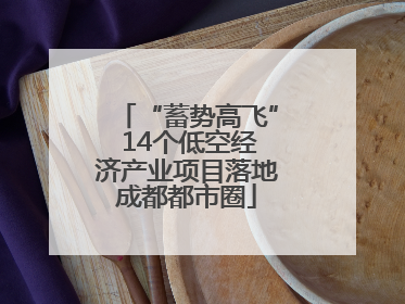 “蓄势高飞” 14个低空经济产业项目落地成都都市圈