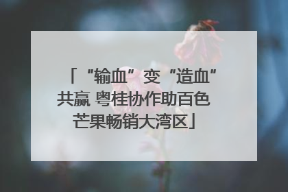 “输血”变“造血”共赢 粤桂协作助百色芒果畅销大湾区