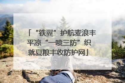 “铁翼”护航麦浪丰 平凉“一喷三防”织就夏粮丰收防护网