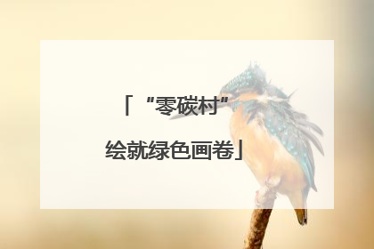 “零碳村” 绘就绿色画卷