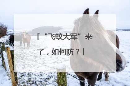 “飞蚁大军”来了，如何防？