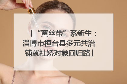 “黄丝带”系新生：淄博市桓台县多元共治铺就社矫对象回归路