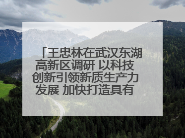 王忠林在武汉东湖高新区调研 以科技创新引领新质生产力发展 加快打造具有全国影响力的科技创新高地