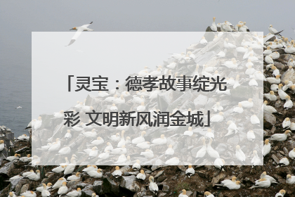 灵宝：德孝故事绽光彩 文明新风润金城