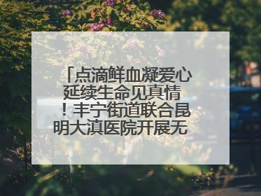 点滴鲜血凝爱心 延续生命见真情！丰宁街道联合昆明大滇医院开展无偿献血活动