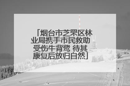 烟台市芝罘区林业局携手市民救助受伤牛背鹭 待其康复后放归自然