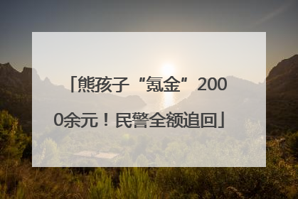 熊孩子“氪金”2000余元！民警全额追回