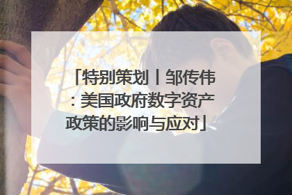 特别策划丨邹传伟：美国政府数字资产政策的影响与应对