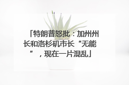 特朗普怒批：加州州长和洛杉矶市长“无能”，现在一片混乱