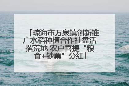 琼海市万泉镇创新推广水稻种植合作社盘活撂荒地 农户喜提“粮食+钞票”分红