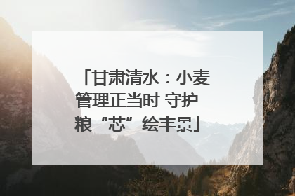 甘肃清水：小麦管理正当时 守护粮“芯”绘丰景