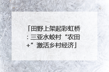 田野上架起彩虹桥:三亚水蛟村“农田+”激活乡村经济