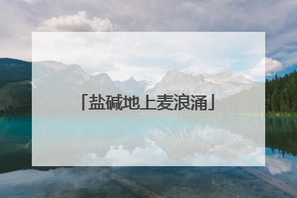 盐碱地上麦浪涌