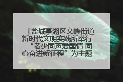 盐城亭湖区文峰街道新时代文明实践所举行“老少同声爱国情 同心奋进新征程”为主题的红色文化活动