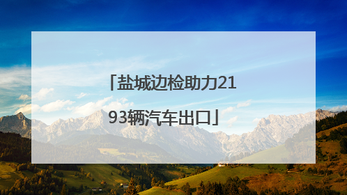 盐城边检助力2193辆汽车出口