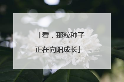 看，那粒种子正在向阳成长