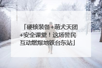 硬核装备+萌犬天团+安全课堂！这场警民互动燃爆地铁台东站