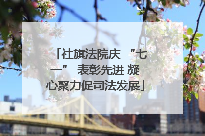 社旗法院庆 “七一” 表彰先进 凝心聚力促司法发展
