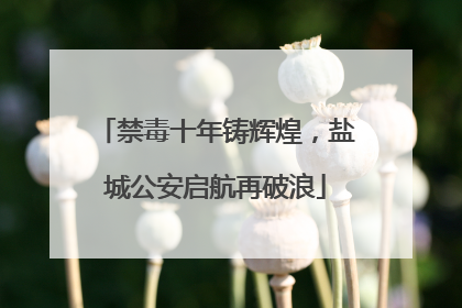 禁毒十年铸辉煌，盐城公安启航再破浪